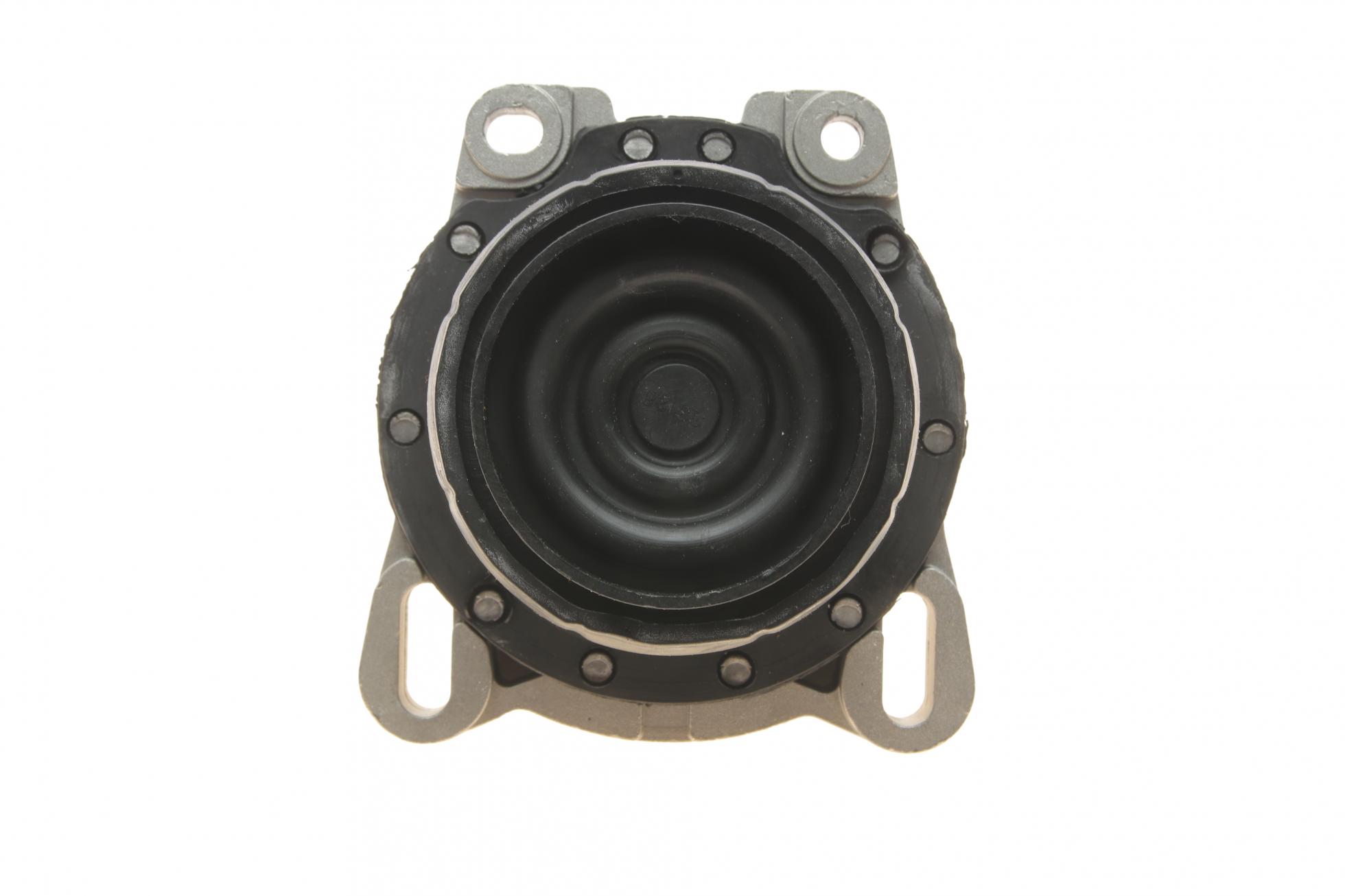 B22002RPR DP GROUP